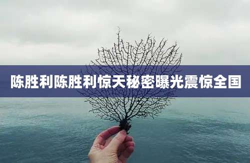 陈胜利陈胜利惊天秘密曝光震惊全国