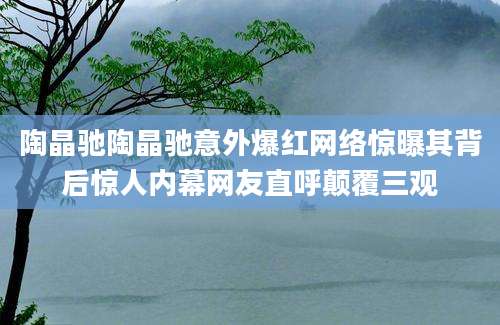 陶晶驰陶晶驰意外爆红网络惊曝其背后惊人内幕网友直呼颠覆三观