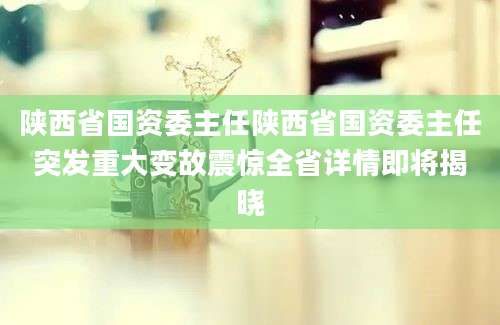 陕西省国资委主任陕西省国资委主任突发重大变故震惊全省详情即将揭晓