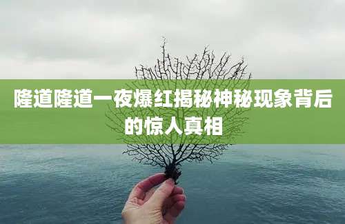 隆道隆道一夜爆红揭秘神秘现象背后的惊人真相