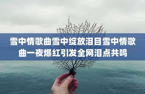 雪中情歌曲雪中绽放泪目雪中情歌曲一夜爆红引发全网泪点共鸣