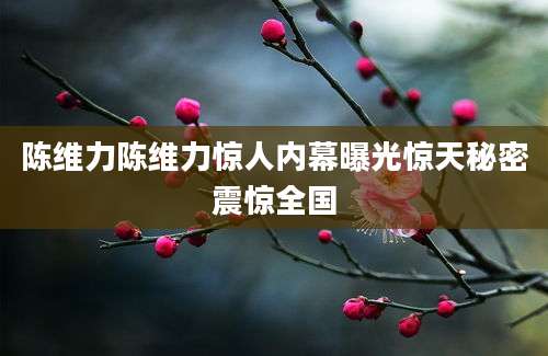 陈维力陈维力惊人内幕曝光惊天秘密震惊全国