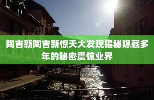 陶吉新陶吉新惊天大发现揭秘隐藏多年的秘密震惊业界