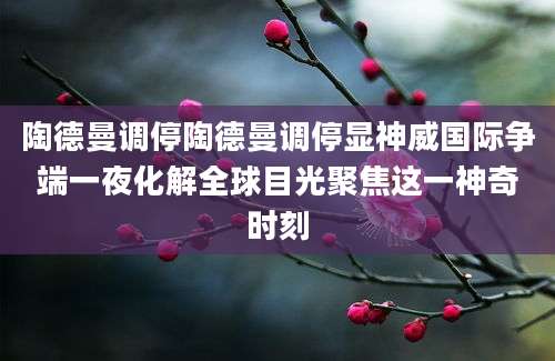 陶德曼调停陶德曼调停显神威国际争端一夜化解全球目光聚焦这一神奇时刻