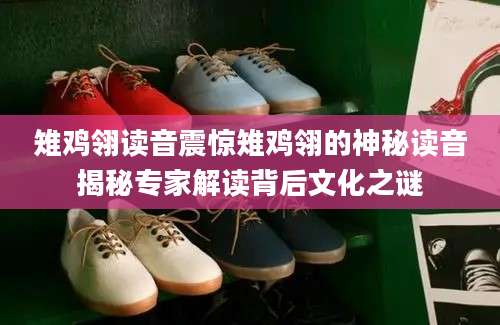 雉鸡翎读音震惊雉鸡翎的神秘读音揭秘专家解读背后文化之谜