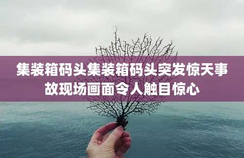 集装箱码头集装箱码头突发惊天事故现场画面令人触目惊心