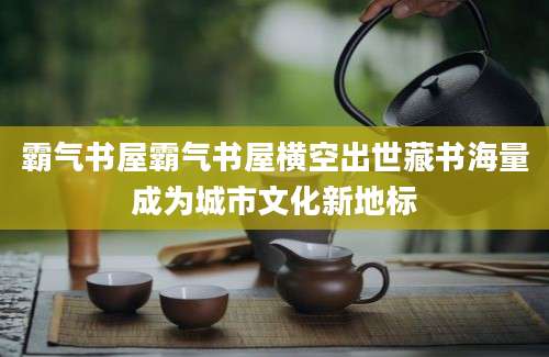 霸气书屋霸气书屋横空出世藏书海量成为城市文化新地标