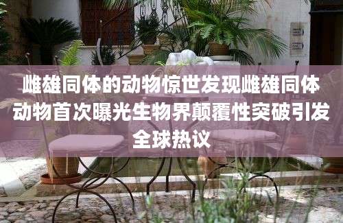 雌雄同体的动物惊世发现雌雄同体动物首次曝光生物界颠覆性突破引发全球热议