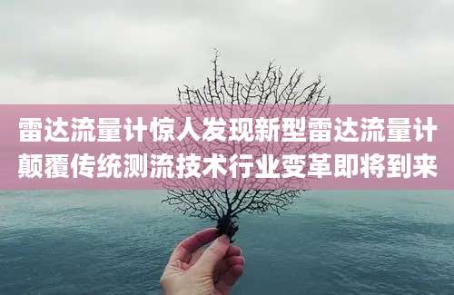 雷达流量计惊人发现新型雷达流量计颠覆传统测流技术行业变革即将到来