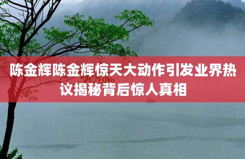 陈金辉陈金辉惊天大动作引发业界热议揭秘背后惊人真相