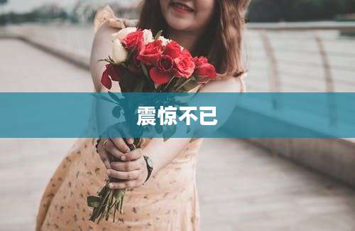 震惊不已