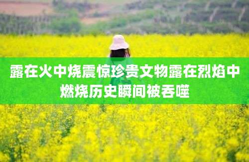 露在火中烧震惊珍贵文物露在烈焰中燃烧历史瞬间被吞噬