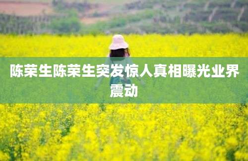 陈荣生陈荣生突发惊人真相曝光业界震动