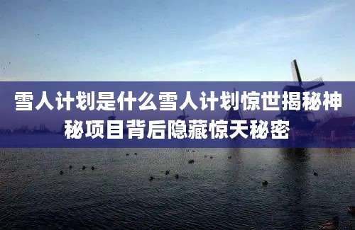 雪人计划是什么雪人计划惊世揭秘神秘项目背后隐藏惊天秘密
