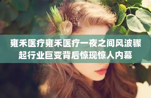 雍禾医疗雍禾医疗一夜之间风波骤起行业巨变背后惊现惊人内幕