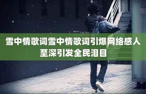 雪中情歌词雪中情歌词引爆网络感人至深引发全民泪目