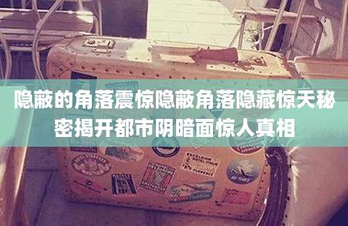 隐蔽的角落震惊隐蔽角落隐藏惊天秘密揭开都市阴暗面惊人真相