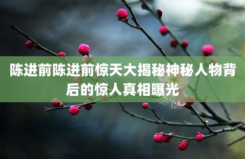 陈进前陈进前惊天大揭秘神秘人物背后的惊人真相曝光