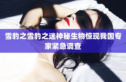 雪豹之雪豹之迷神秘生物惊现我国专家紧急调查