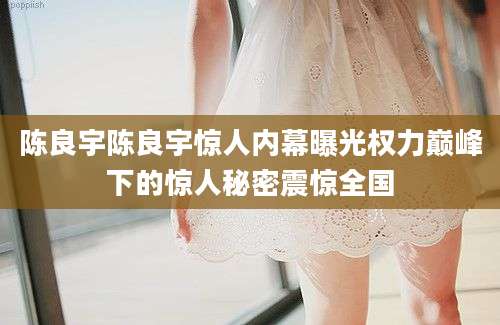 陈良宇陈良宇惊人内幕曝光权力巅峰下的惊人秘密震惊全国