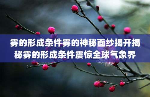 雾的形成条件雾的神秘面纱揭开揭秘雾的形成条件震惊全球气象界