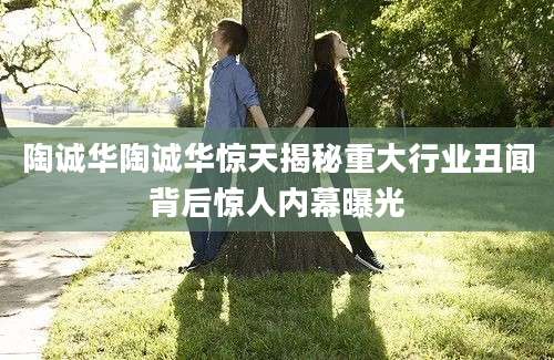 陶诚华陶诚华惊天揭秘重大行业丑闻背后惊人内幕曝光