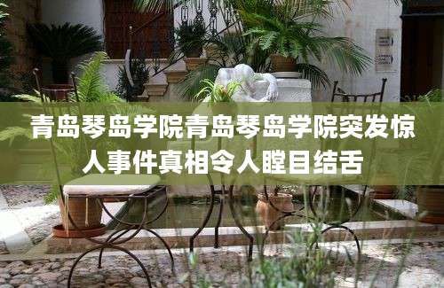 青岛琴岛学院青岛琴岛学院突发惊人事件真相令人瞠目结舌