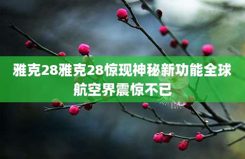 雅克28雅克28惊现神秘新功能全球航空界震惊不已