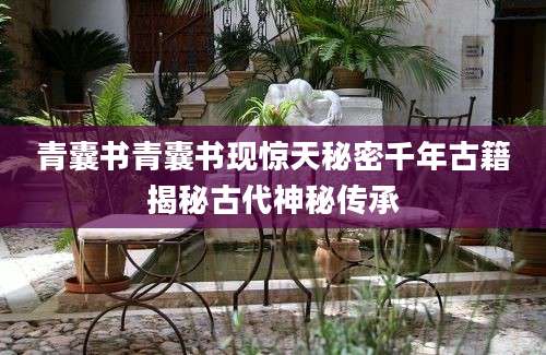 青囊书青囊书现惊天秘密千年古籍揭秘古代神秘传承