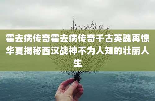 霍去病传奇霍去病传奇千古英魂再惊华夏揭秘西汉战神不为人知的壮丽人生