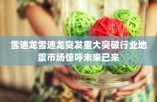 雪迪龙雪迪龙突发重大突破行业地震市场惊呼未来已来