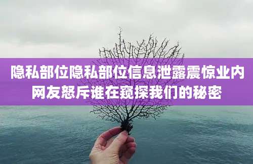 隐私部位隐私部位信息泄露震惊业内网友怒斥谁在窥探我们的秘密