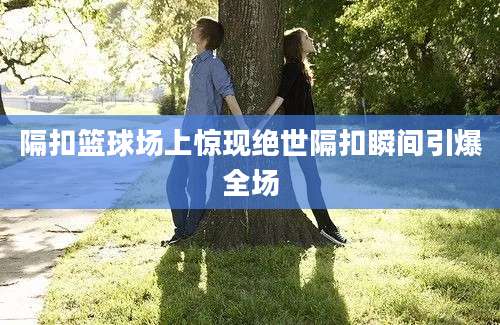 隔扣篮球场上惊现绝世隔扣瞬间引爆全场