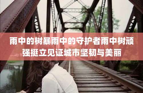 雨中的树暴雨中的守护者雨中树顽强挺立见证城市坚韧与美丽