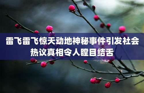 雷飞雷飞惊天动地神秘事件引发社会热议真相令人瞠目结舌