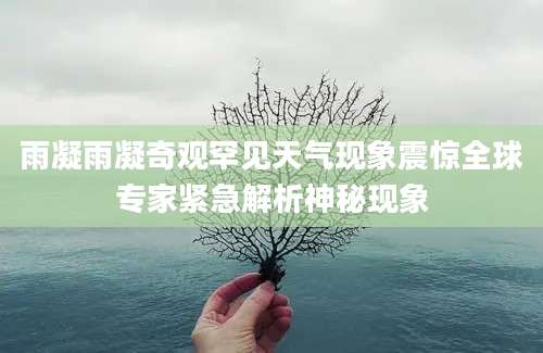 雨凝雨凝奇观罕见天气现象震惊全球专家紧急解析神秘现象