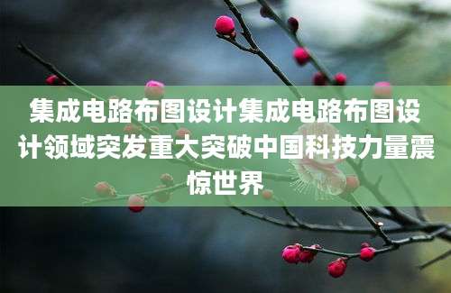 集成电路布图设计集成电路布图设计领域突发重大突破中国科技力量震惊世界