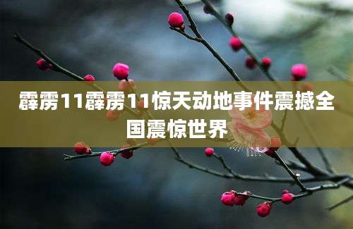 霹雳11霹雳11惊天动地事件震撼全国震惊世界