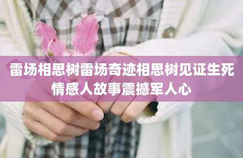 雷场相思树雷场奇迹相思树见证生死情感人故事震撼军人心