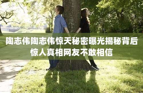陶志伟陶志伟惊天秘密曝光揭秘背后惊人真相网友不敢相信