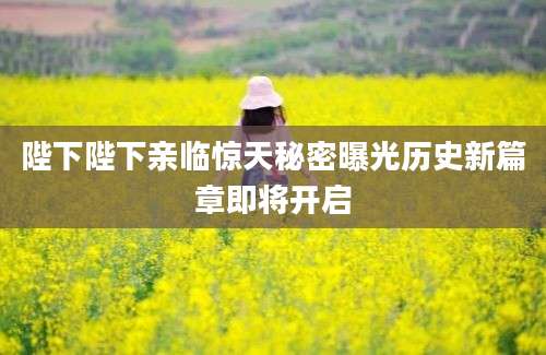 陛下陛下亲临惊天秘密曝光历史新篇章即将开启
