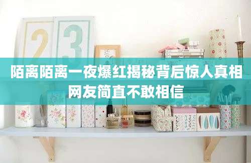 陌离陌离一夜爆红揭秘背后惊人真相网友简直不敢相信
