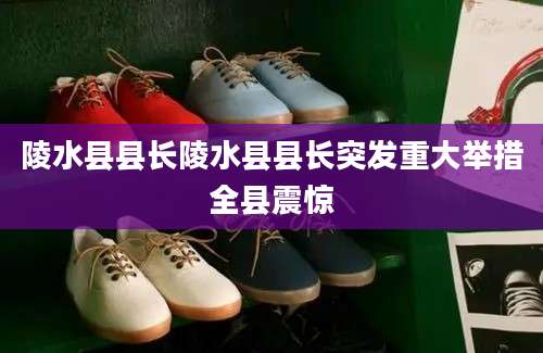陵水县县长陵水县县长突发重大举措全县震惊