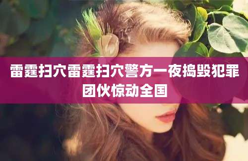 雷霆扫穴雷霆扫穴警方一夜捣毁犯罪团伙惊动全国