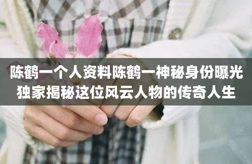 陈鹤一个人资料陈鹤一神秘身份曝光独家揭秘这位风云人物的传奇人生