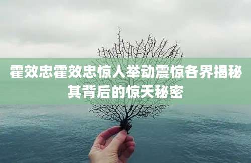 霍效忠霍效忠惊人举动震惊各界揭秘其背后的惊天秘密