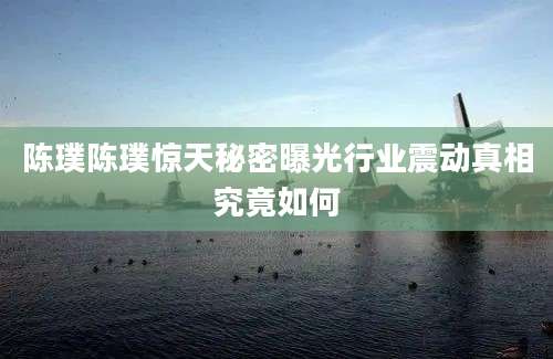 陈璞陈璞惊天秘密曝光行业震动真相究竟如何