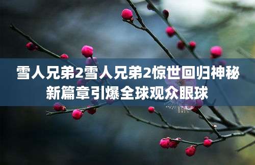 雪人兄弟2雪人兄弟2惊世回归神秘新篇章引爆全球观众眼球