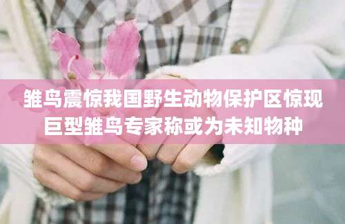 雏鸟震惊我国野生动物保护区惊现巨型雏鸟专家称或为未知物种